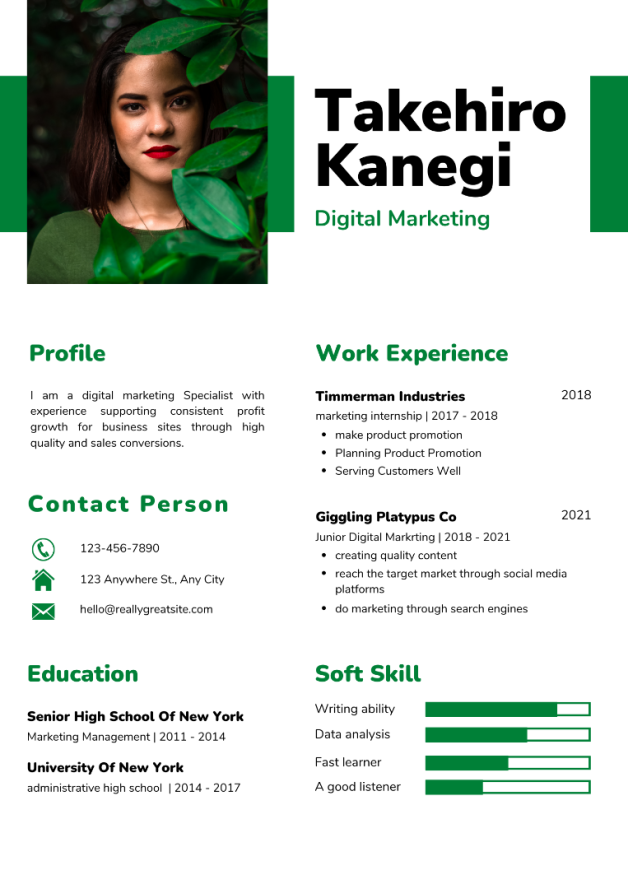 Sample Talent Profile 87